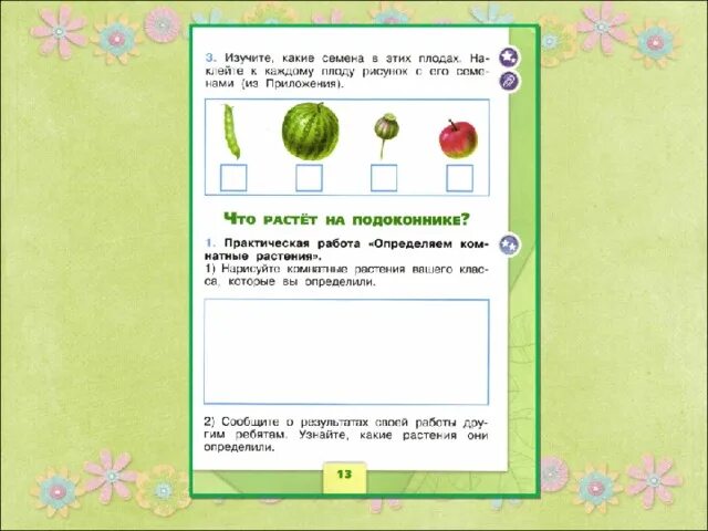 Тема что растет на клумбе. Комнатные растения 1 класс окружающий мир. Что ра тет на подоконнике. Что растетет на подоконнике. Что растёт на подоконнике практическая работа.