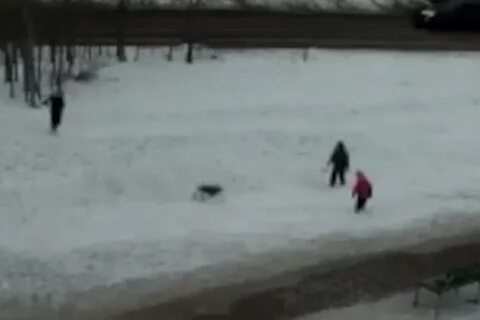 Собака набросилась на ребенка