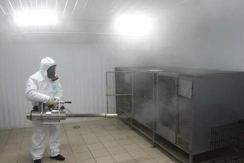 Дезинфекция животных