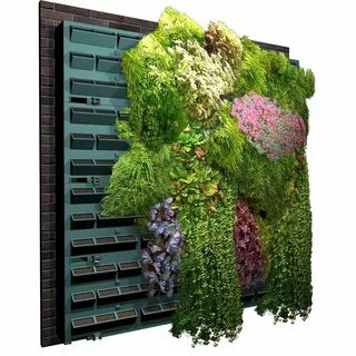 Green wall