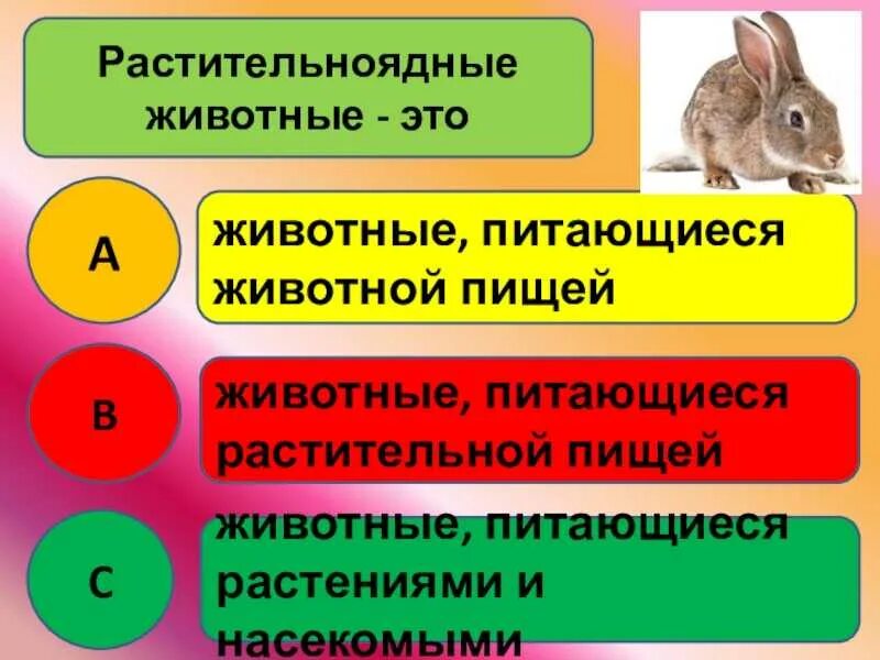 Презентация "Кто что ест" (3 класс) по окружающему миру - скачать проект