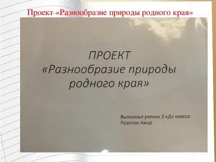 Проект разнообразие природы родного края рабочая тетрадь