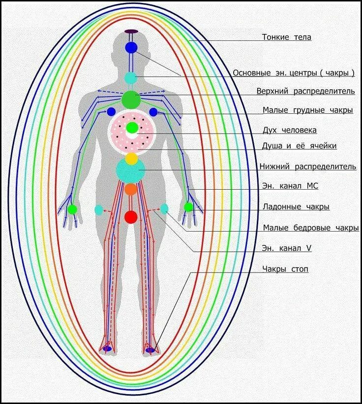 Чакры энергетические центры тонких тел. Энергетические+чакры+человека+схема. Энергетические меридианы на теле человека схема. Чакры человека 7 чакр энергетики. Потоки через тело