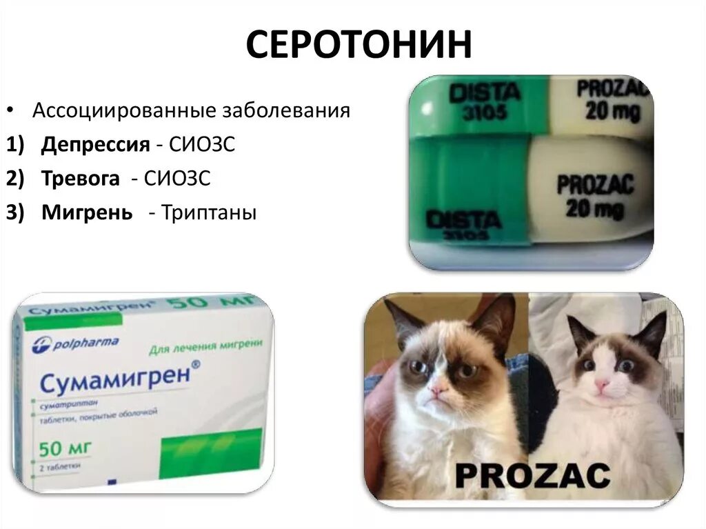Препараты повышающие серотонин. Витамины для повышения серотонина. Серотонин бады. Препараты для повышения гормона счастья. Таблетки для повышения серотонина.