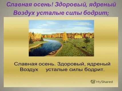 Поздняя осень здоровый ядреный воздух