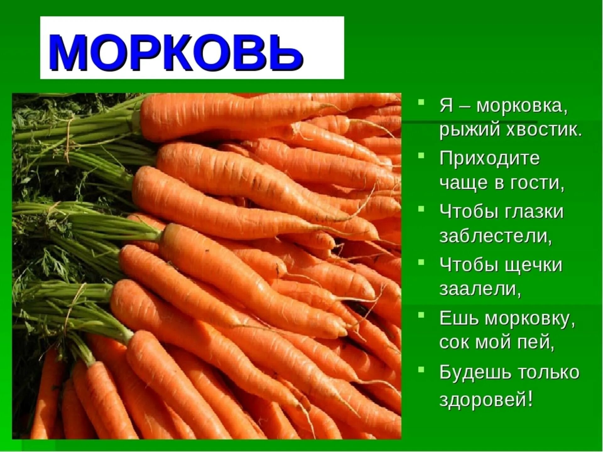 Какой овощ я люблю и почему