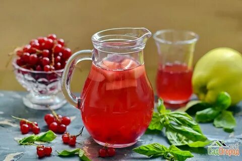 Компот из клубники и красной смородины