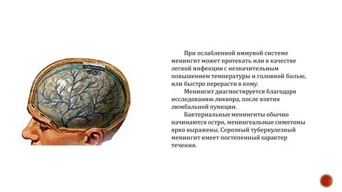 Менингит без шапки