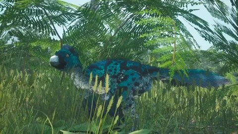 Beasts of bermuda