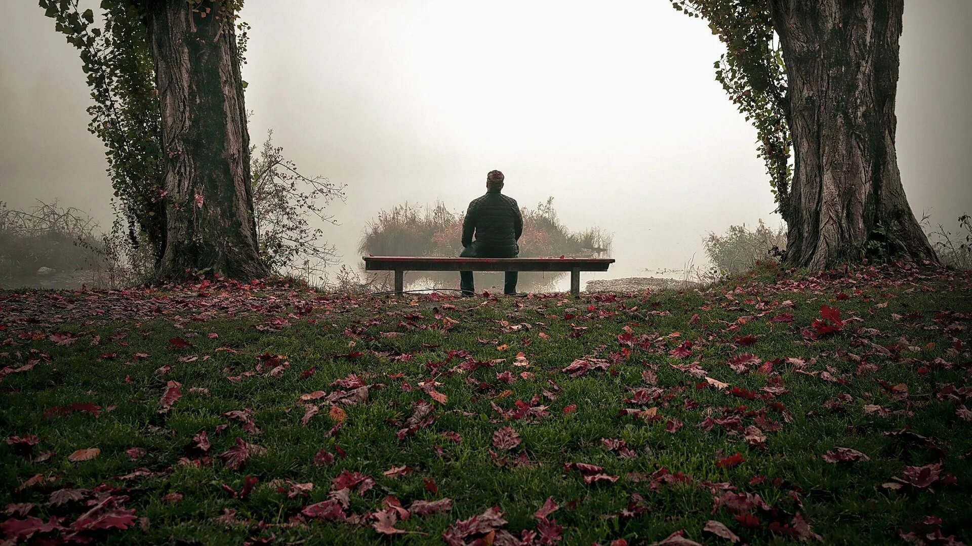 Осень одиночество. Осень одинокий человек. Уединение с природой. Одиночество в лесу. Идущий в дорогу и скучающий в одиночестве