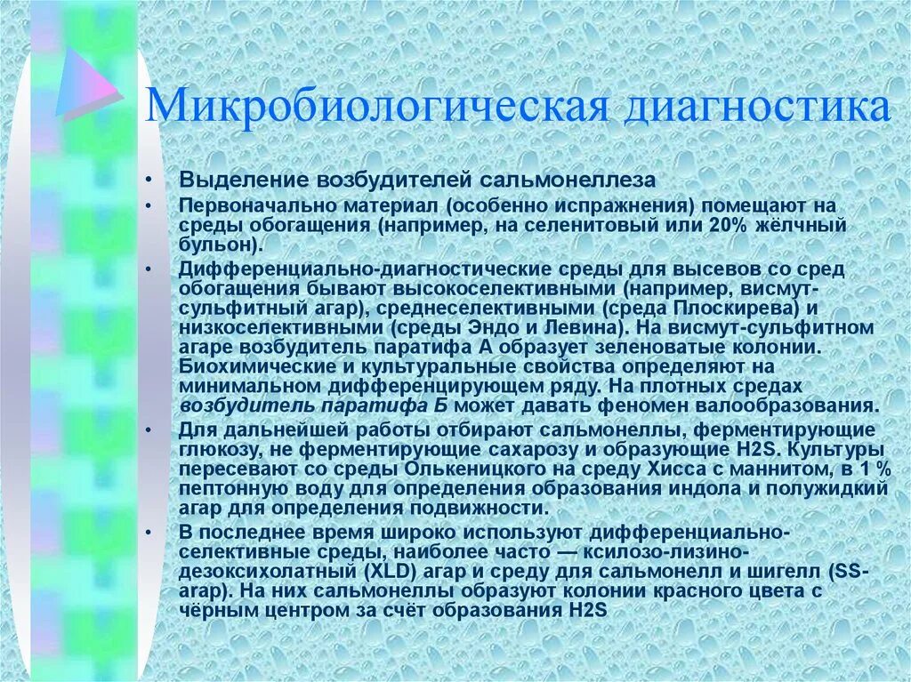 Симптомы дизентерии шигеллеза. Клинические проявления дизентерии. Основные клинические симптомы дизентерии. Шигеллез клинические проявления. Сальмонеллез наблюдение