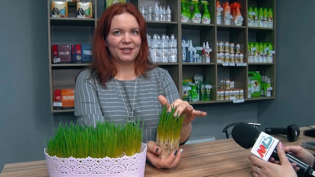 Зоодело волгоград официальный сайт. Зоодело. Зоодело. Зоомагазин волгоград красноармейский район бульвар. Zoodelo.