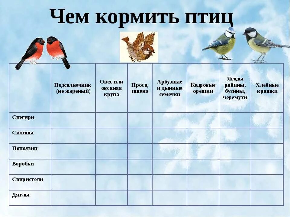 Расписание младшей группы. Календарь наблюдения за птицами в детском саду. Дневник наблюдения за птицами. Дневник наблюдений за птицами в детском саду. Наблюдение за птицами в детском саду.