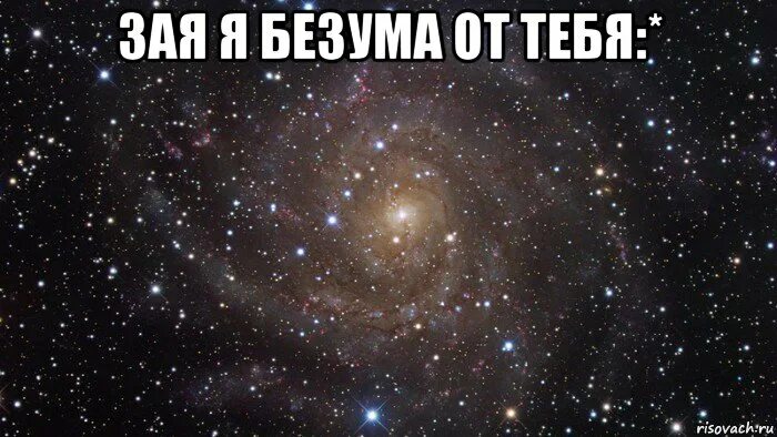 Самбука зая люблю тебя. Я от тебя безума. я без ума от тебя. ты зая. я от вас безума.