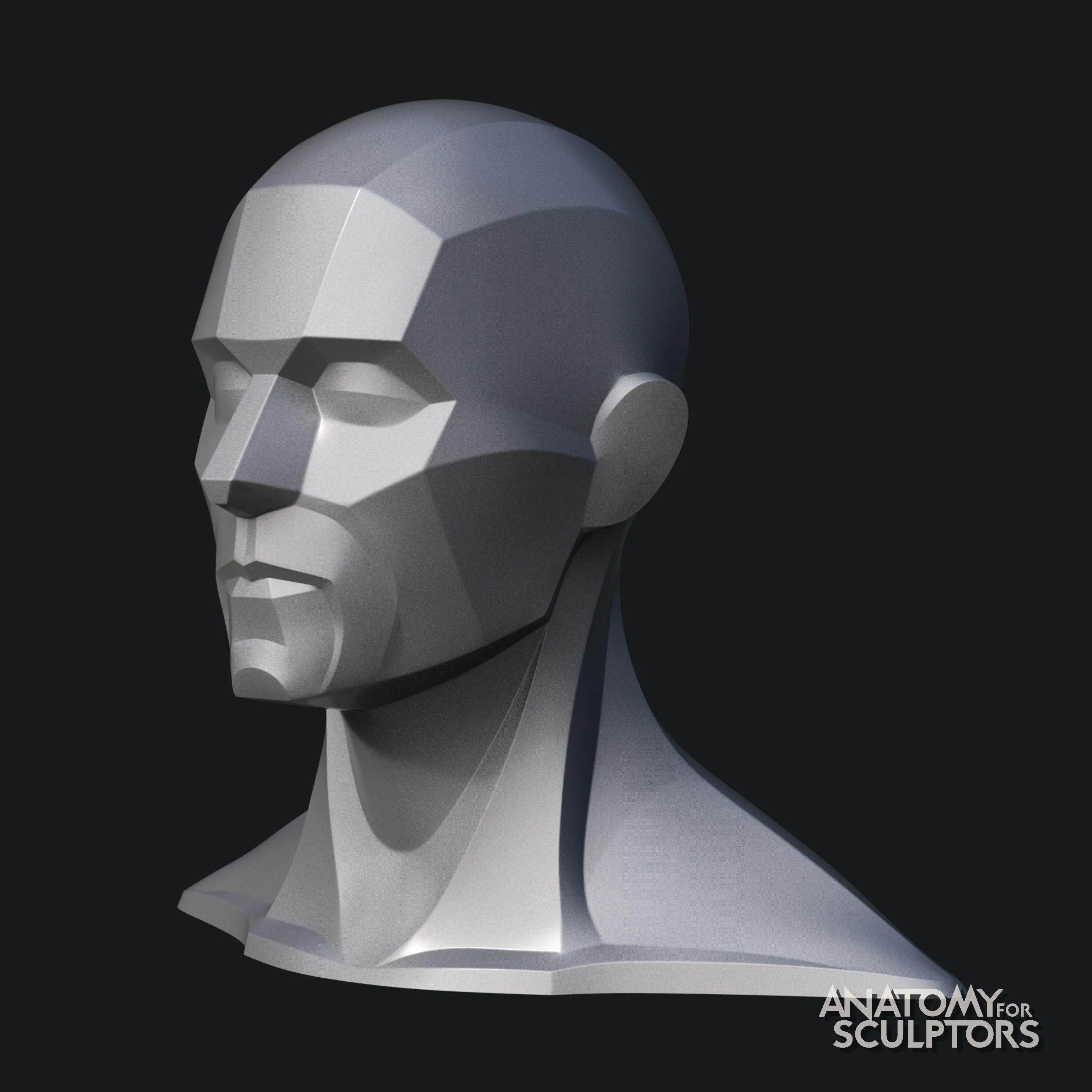 Head forms. Анатомия for sculptors. Экорше головы для рисования 3д. Обрубовка головы для рисования. Head Anatomy for sculptors.