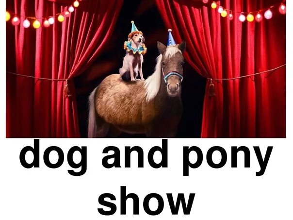 Dog and Pony show. Dog and Pony show идиома. The Dog and Pony show 2020. The Dog and Pony show Pony. Show pony