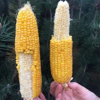 Уникальное сравнение