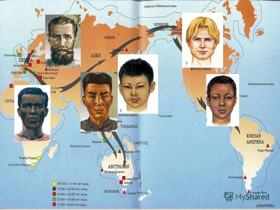 негроидная раса африканская ветвь. человеческие расы. большие человеческие расы. типы рас. европеоидная раса расселение на карте.