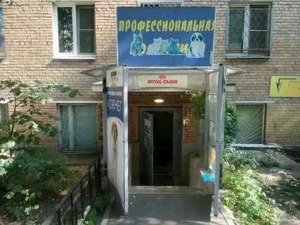 Ветклиника мытищи