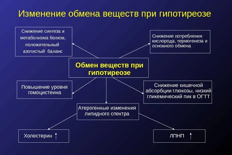 Обмен веществ при гипотиреозе. Изменение обмена веществ при гипотиреозе. Основной обмен при гипертиреозе. Основной обмен при тиреотоксикозе.