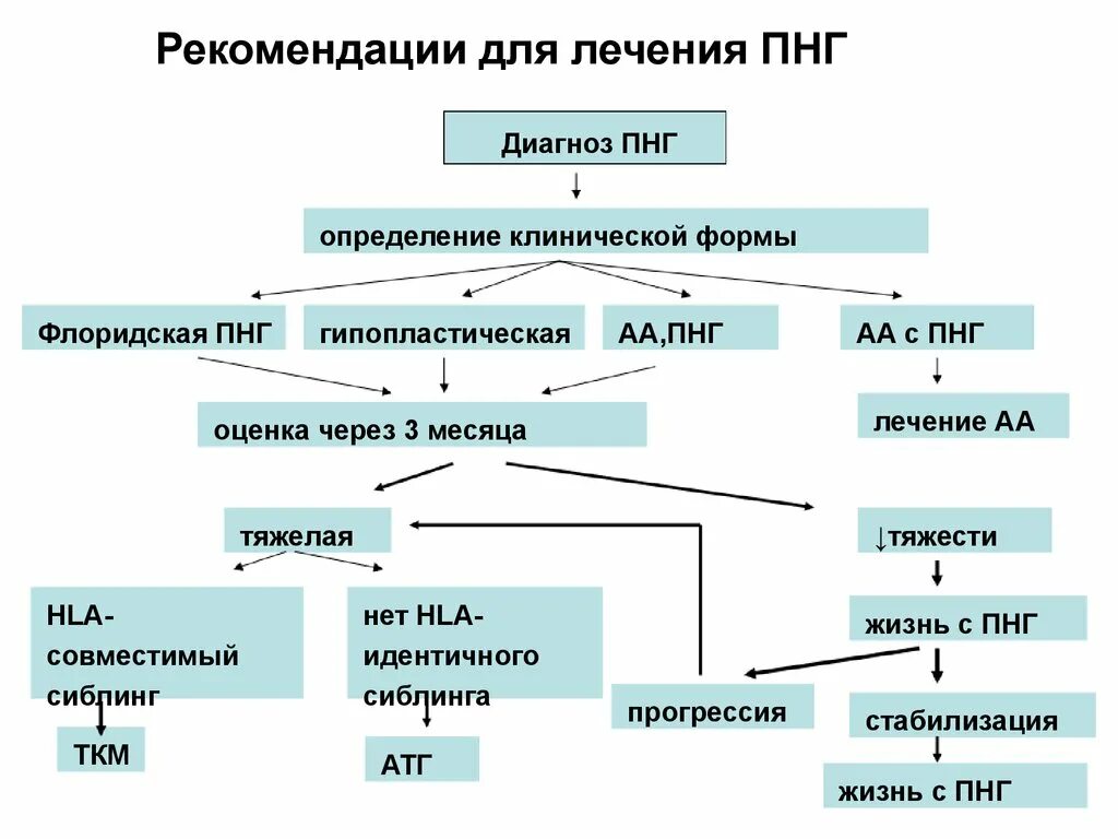 Пароксизмальная ночная гемоглобинурия патогенез. Пароксизмальная ночная гемоглобинурия. Пароксизмальная ночная гемоглобинурия механизм развития. Пароксизмальная ночная гемоглобинурия по утвержденным клиническим рекомендациям. Пароксизмальная ночная гемоглобинурия по утвержденным клиническим рекомендациям.