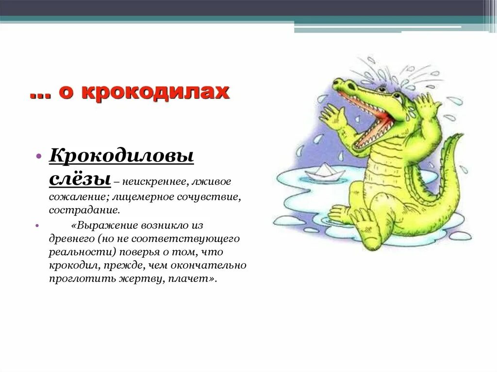 Выражение крокодильи слезы. Крокодильи слезы фразеологизм. Факты о крокодилах для детей. Крокодилы презентация. Крокодиловы слёзы.