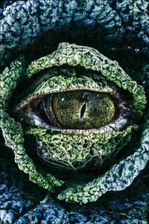Planting eyes