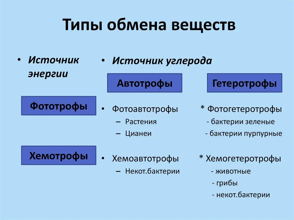 Обмен веществ человека биология. Типы обмена веществ. Типы обмена веществ биология 10 класс. Основные типы обмена веществ. Типы обмена веществ схема.