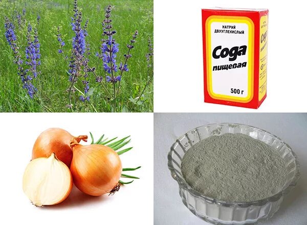 Убрать флюс быстро и эффективно. Народные средства от флюса. флюс лекарства. народные средства при лечении флюса. средство для полоскания от флюс.