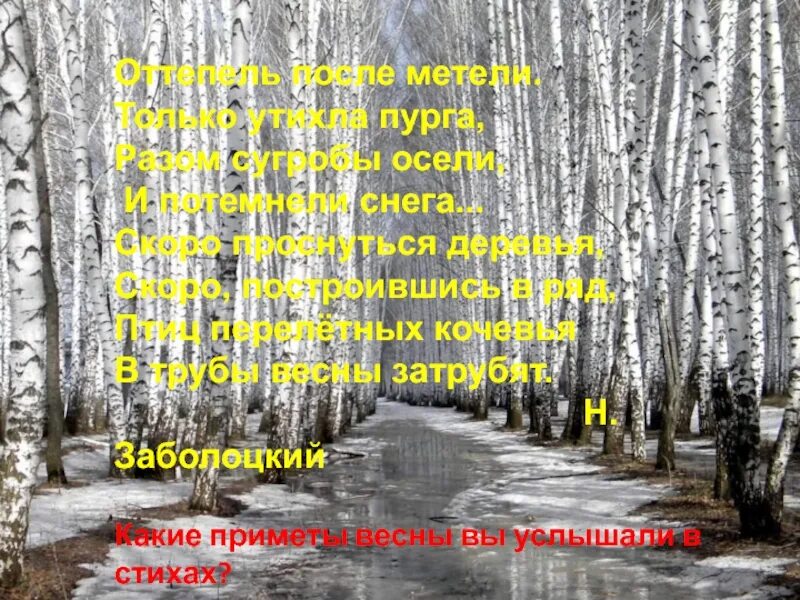 Стихотворение оттепель. Оттепель стих. Стихотворение оттепель Заболоцкий. Стих Заболоцкого оттепель после метели.