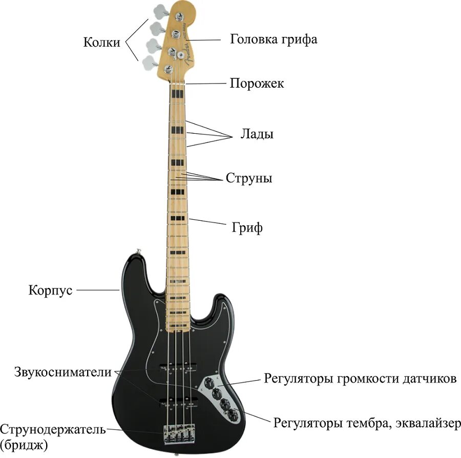 Как выбрать струны для электрогитары. Строение бас гитары 4 струны. строение электро бас гитары. частота струн бас гитары. размеры грифа бас гитары.