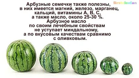 Арбузные косточки польза