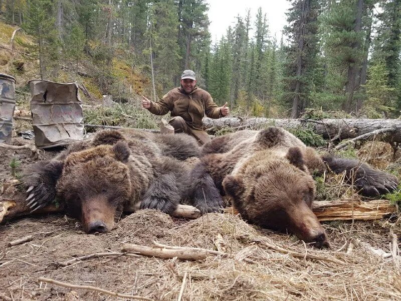 охота в хакасии