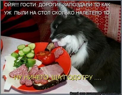Гости дорогие слушать