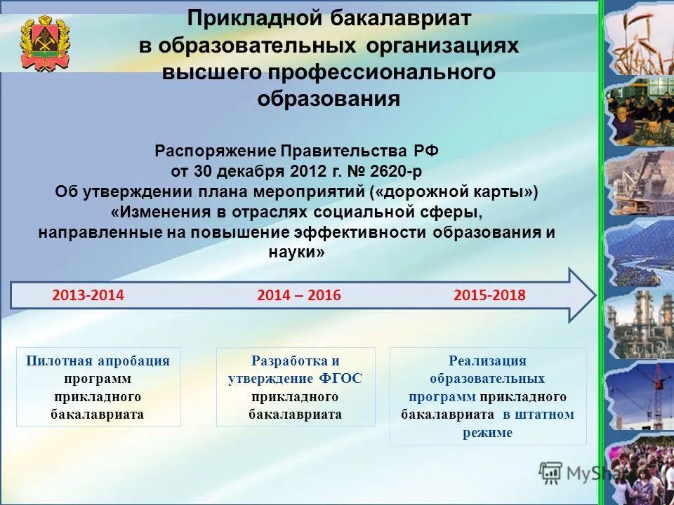 Направления развития профессиональное образование. План мероприятий дорожная карта. Министерство науки и высшего образования Кузбасса. Прикладной бакалавриат что это такое. Система управления социальной сферы в Кузбассе.