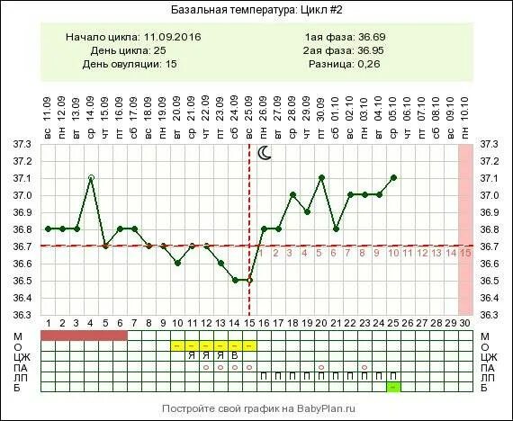 Базальная температура на 25 день цикла. Базальная температура на 22 день цикла. БТ 37.1 22 день цикла. 9 День цикла базальная температура 36.6. Какая базальная температура при беременности до задержки