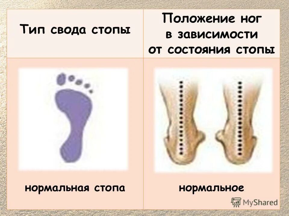 исходное положение узкая стойка ноги врозь. схемы позиций ног классического танца. позиции ног в классическом танце. основные положения конечности. основные положения ног.