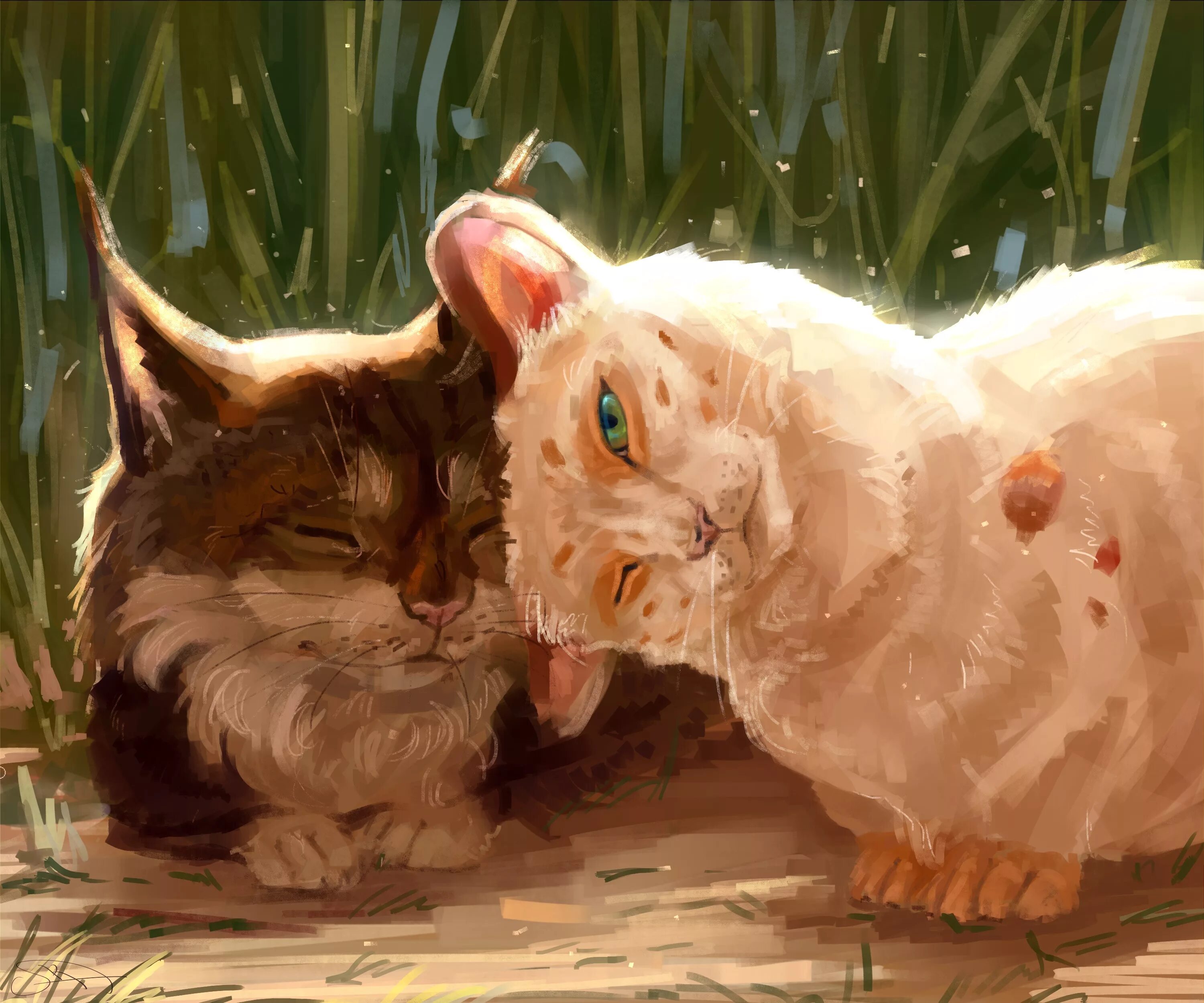Котики арт. Кошка арт. арты котов. пушистый кот арт. рыжий кот арт.