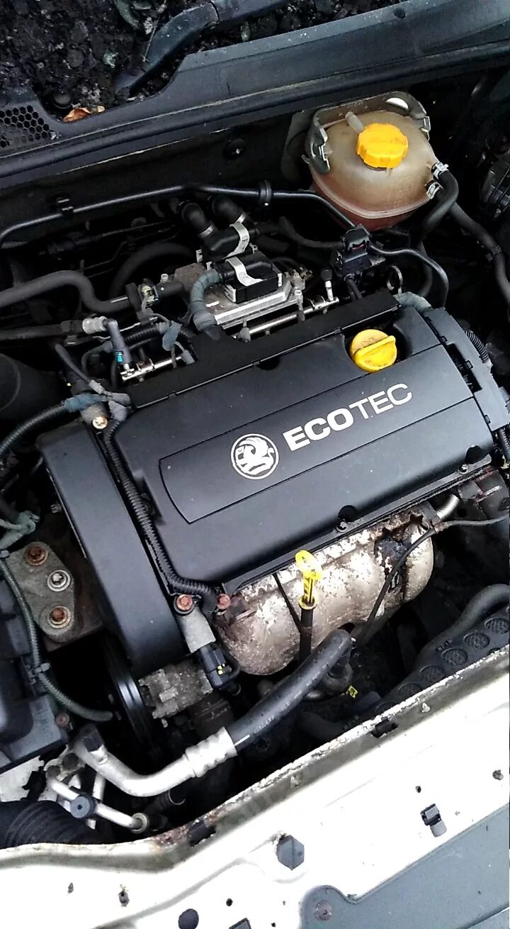 Двигатель опель астра 1.8 фото МЕМБРАННА В КЛАПАНКЕ opel GTC Opel Astra H GTC, 1,6 л, 2007 года своими руками