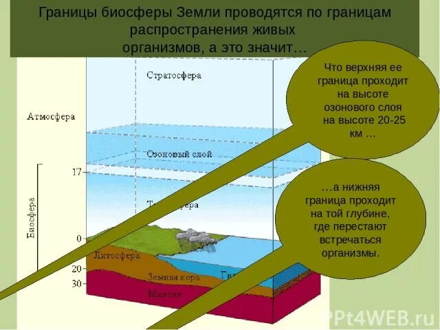 Верхняя граница биосферы. Верхняя граница биосферы располагается на высоте. Граница биосферы нижняя граница. Границы распространения живых организмов. Чем определяются границы распространения живых организмов