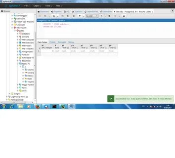 Pgadmin runtime environment
