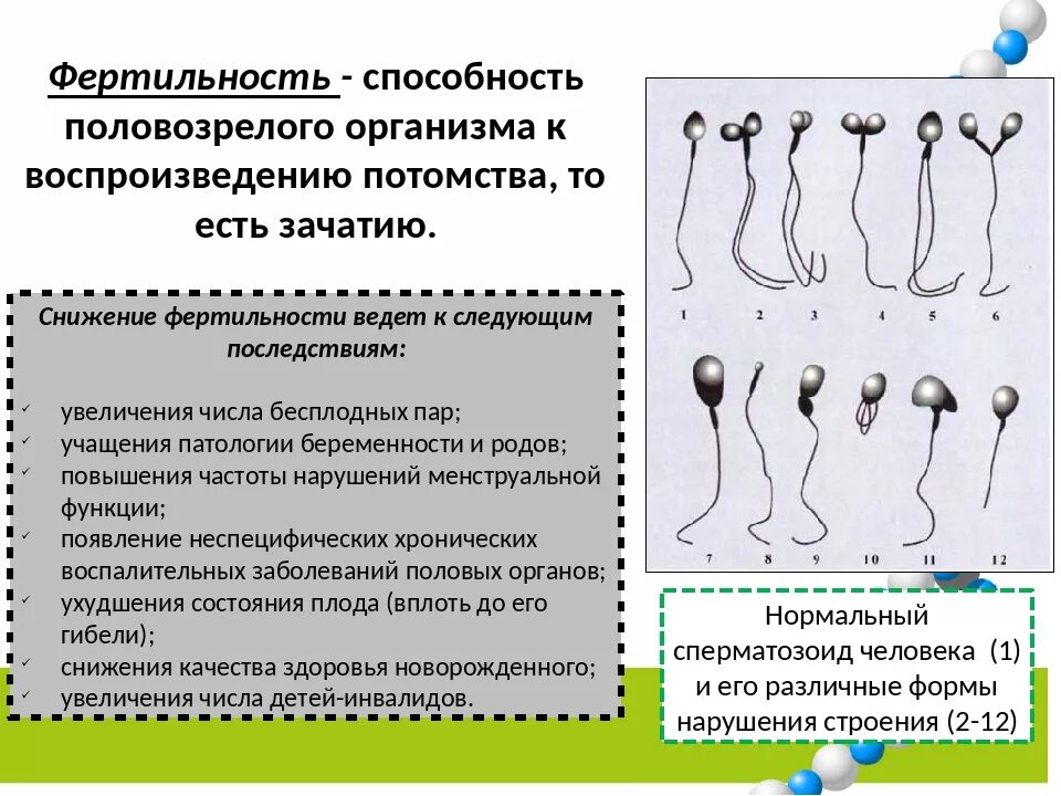 Фертильный день это у женщин. Фертильность. Фертильность у женщин. Фертильность у мужчин. Фертильные сперматозоиды.