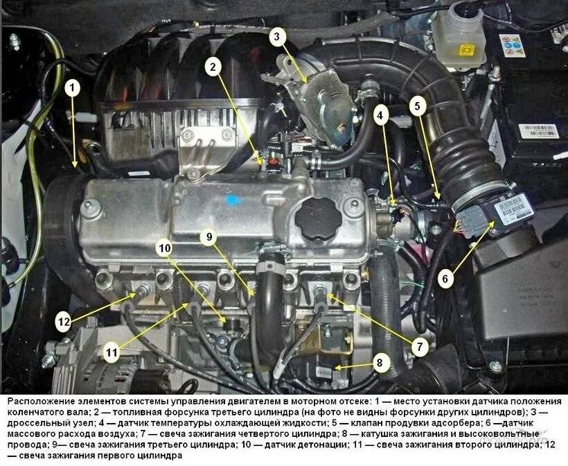 Сколько датчиков на гранте. Датчики на двигателе ВАЗ 2115 инжектор 8. Датчики двигателя ВАЗ 2111 8 клапанов инжектор. Датчики управления двигателем ВАЗ 2115 инжектор. Датчики Калина 16 клапанов.