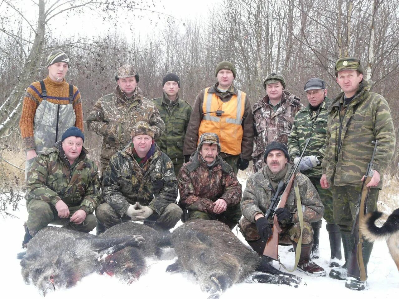 Охотхозяйство смоленской. Охотхозяйство в смоленской области. Кабаны охотхозяйство смоленская. Лахское охотхозяйство смоленской. Кабаны охотхозяйство смоленская.