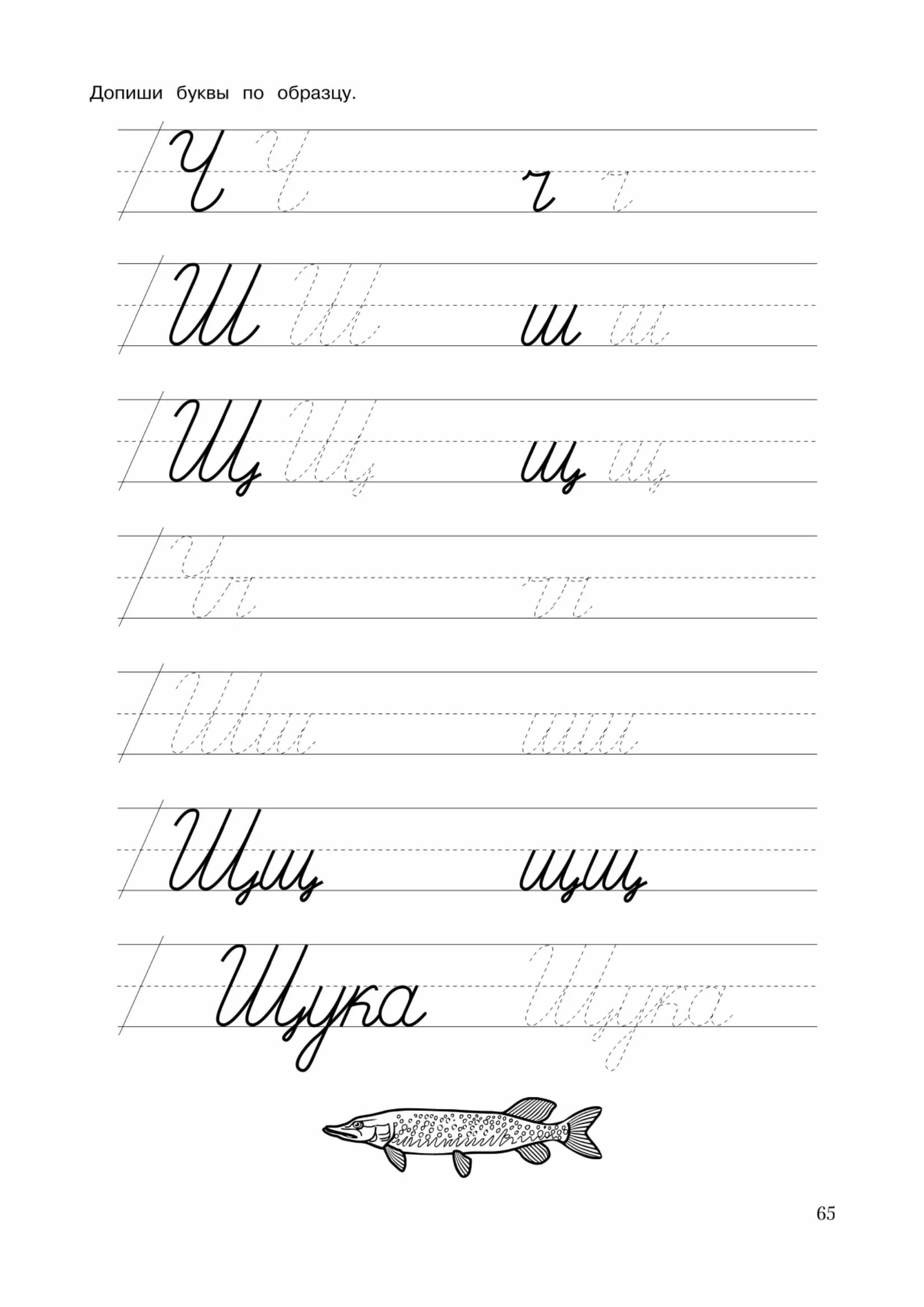 Пропись буква ц. Прописи щ. прописи ч щ. прописи буквы ч и щ. буква щ пропись для дошкольников.