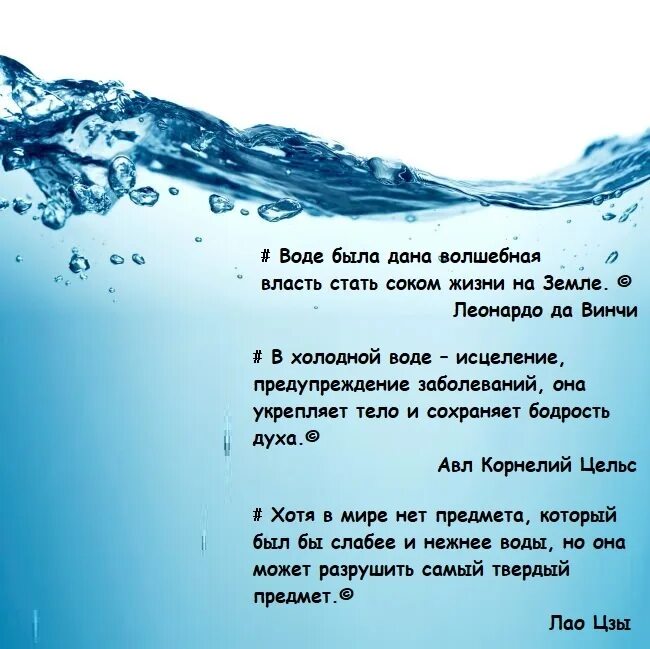 5 высказываний о воде. Фразы про воду. Афоризмы про воду. Вода высказывания о воде. Вода цитаты о воде.