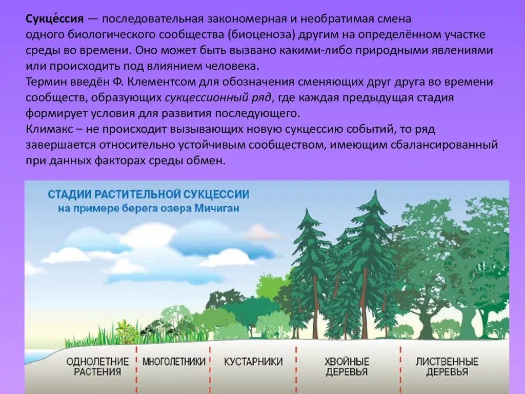 Приведите примеры изменений условий среды. Вторичная экологическая сукцессия. Первичная экологическая сукцессия. Схема вторичной экологической сукцессии. Возникновение первичной сукцессии.