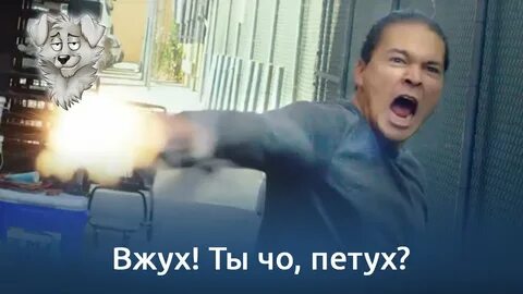 Вжух и ты петух