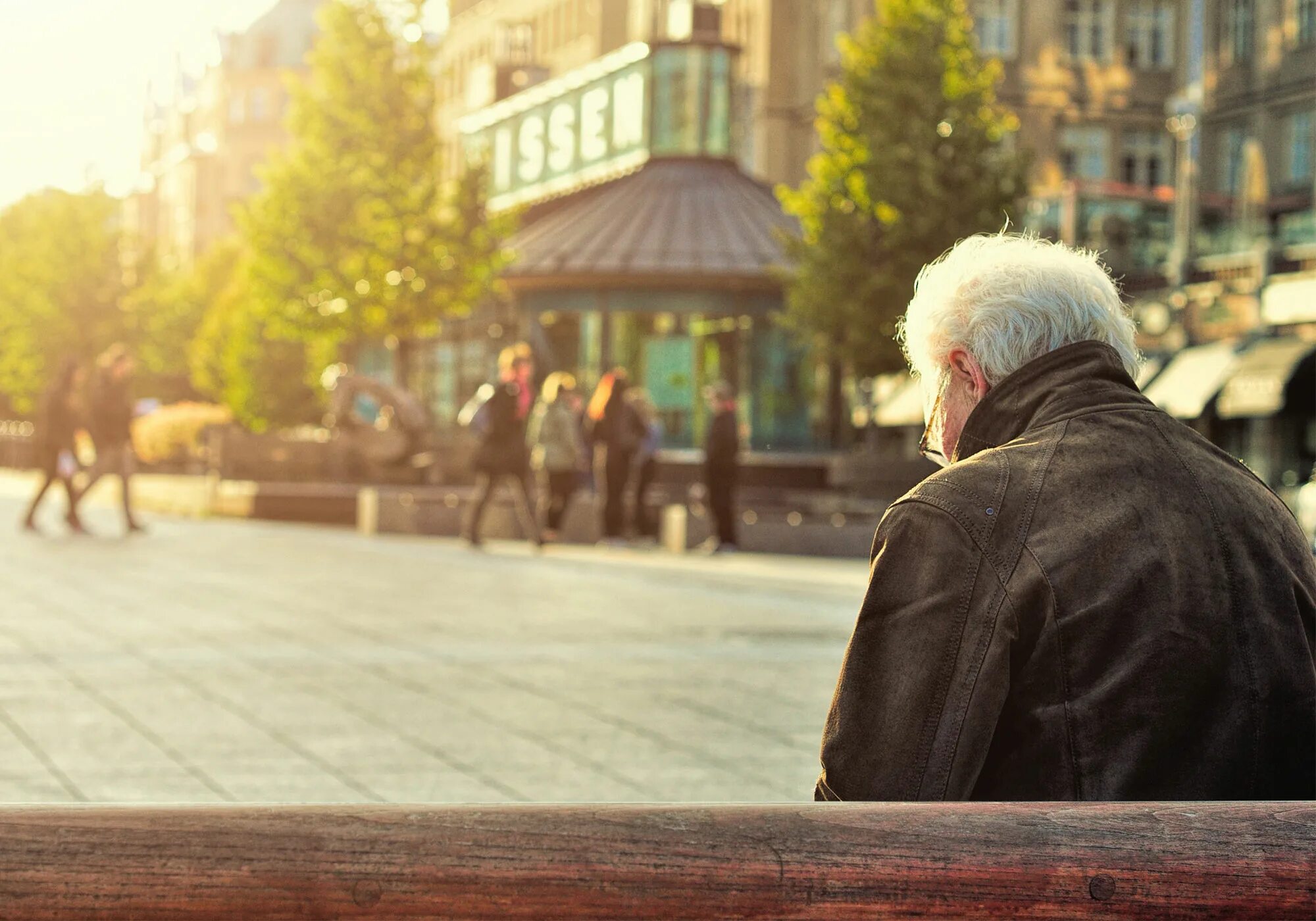 Одинокий старик. Старики на скамейке спиной. Старички в городе. Одинокий старик на лавке. 2019 году ожидается