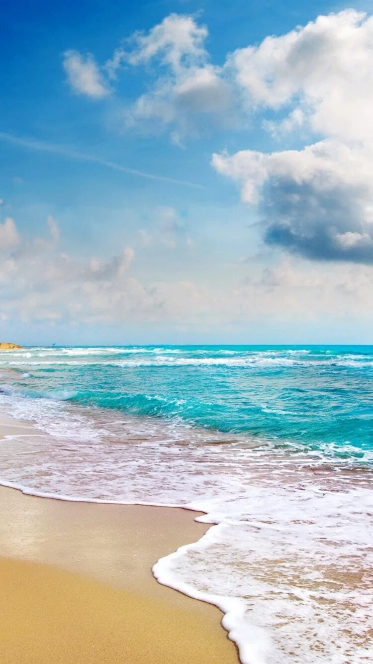 Море. Пляж вертикально. Заставки на телефон пляжи. Побережье океана с пальмами. Сансет бич гавайи.